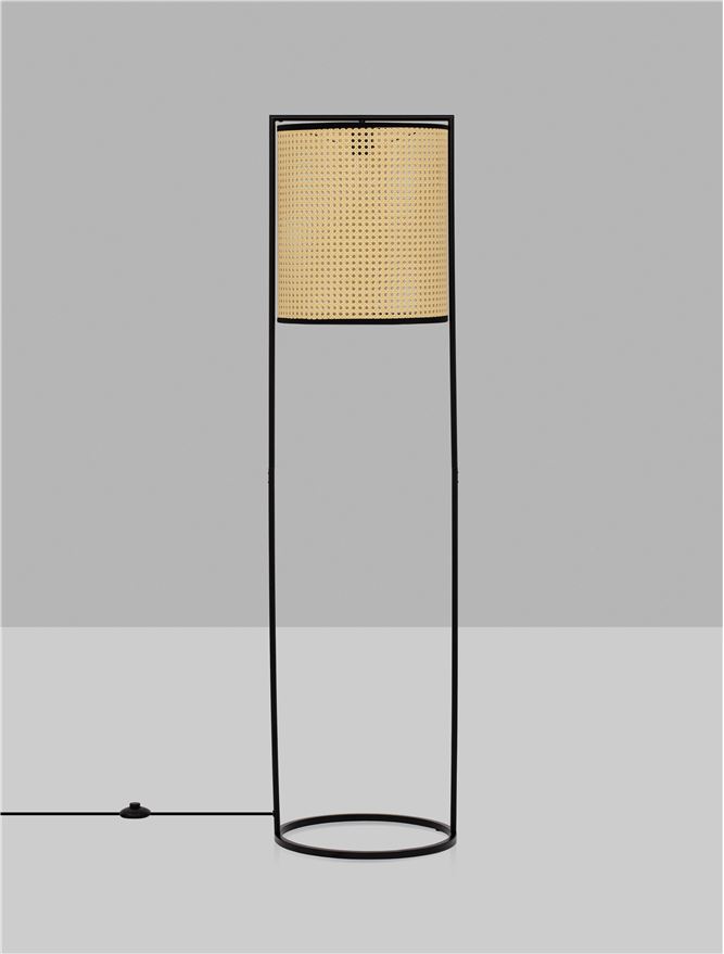 ERTO