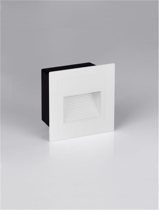 MONO