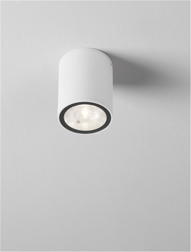LUMINA