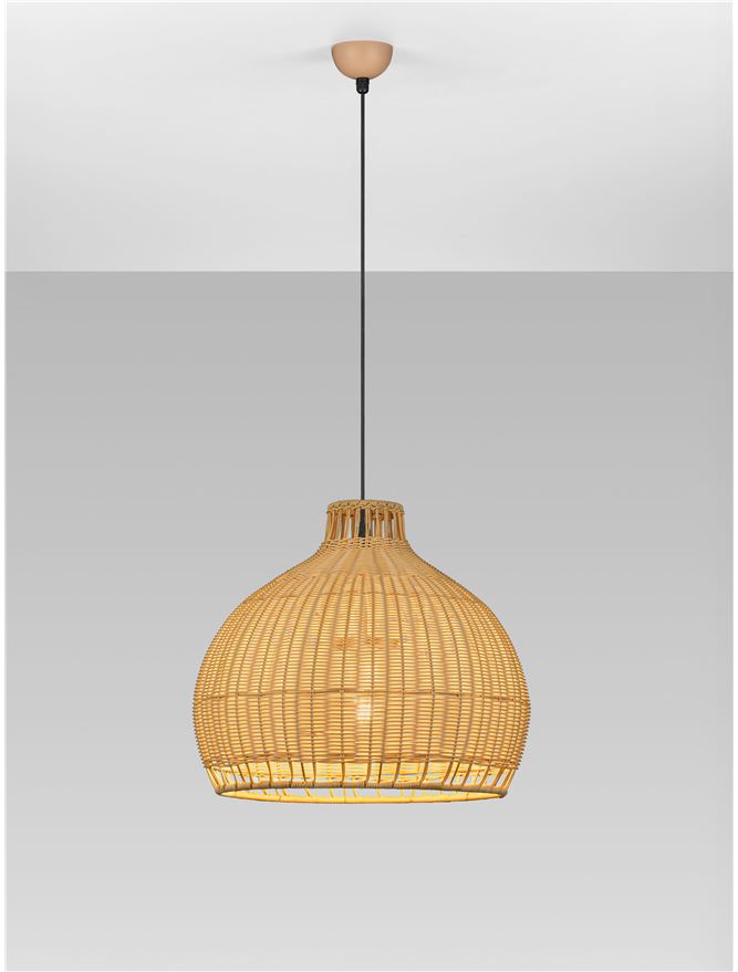 PALS