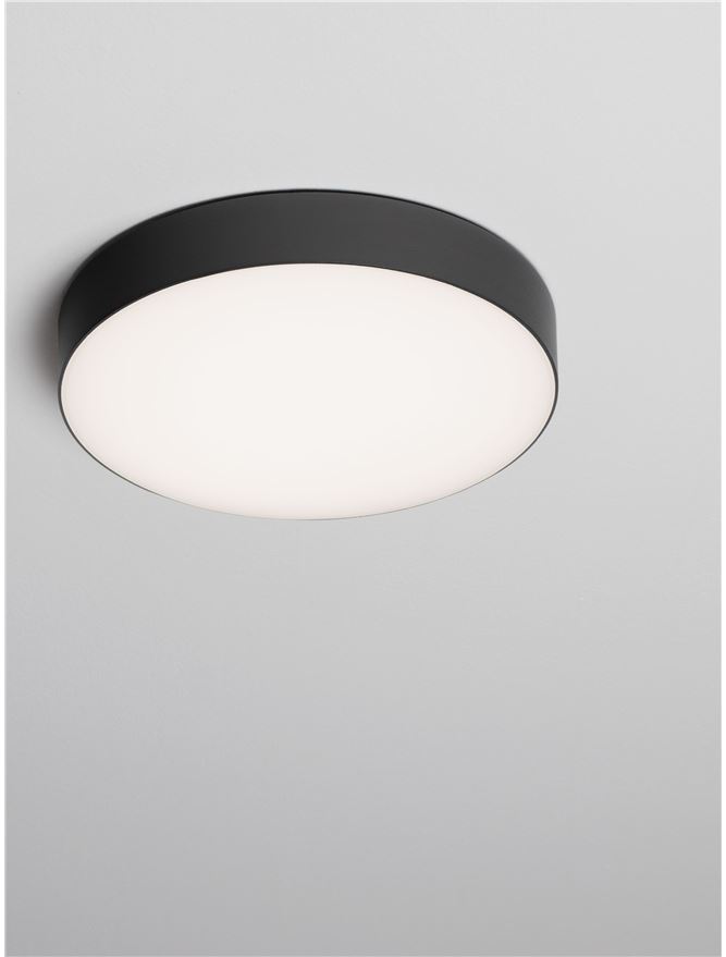 ORLUX