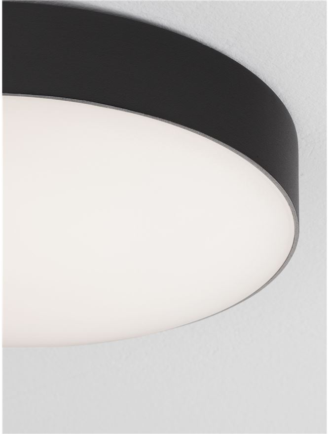 ORLUX