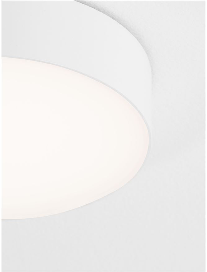 ORLUX