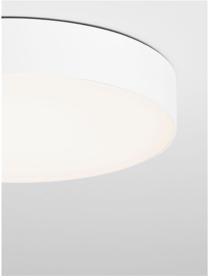 ORLUX