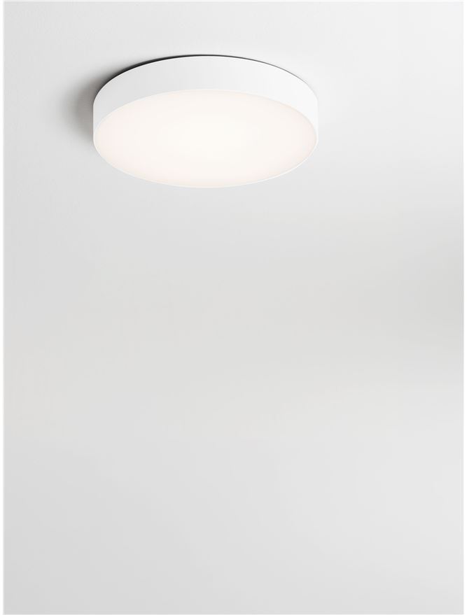 ORLUX