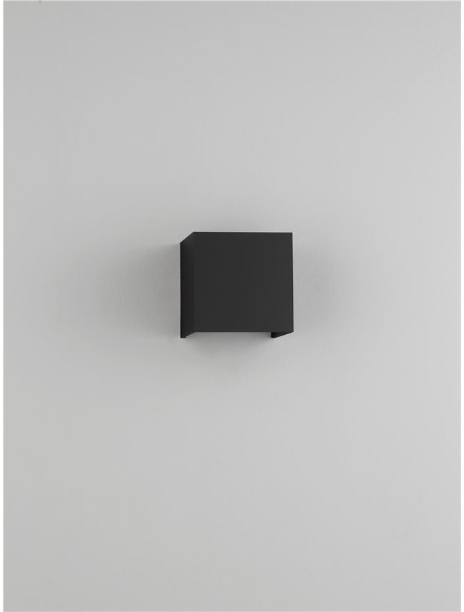 VECTOR
