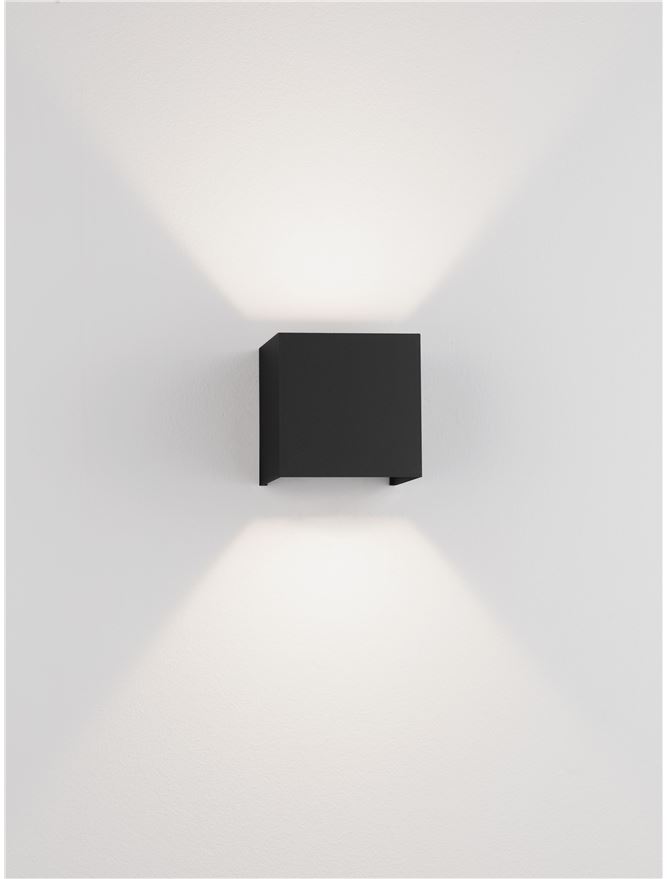 VECTOR