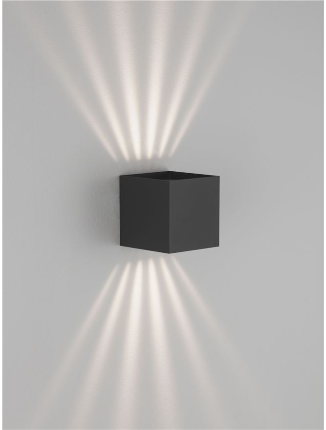 VECTOR