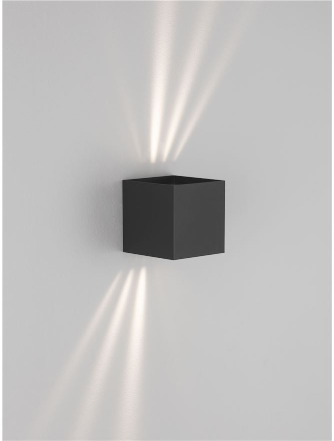 VECTOR