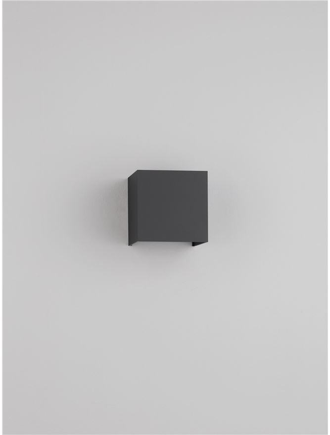 VECTOR