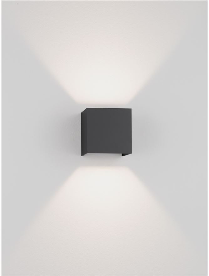 VECTOR
