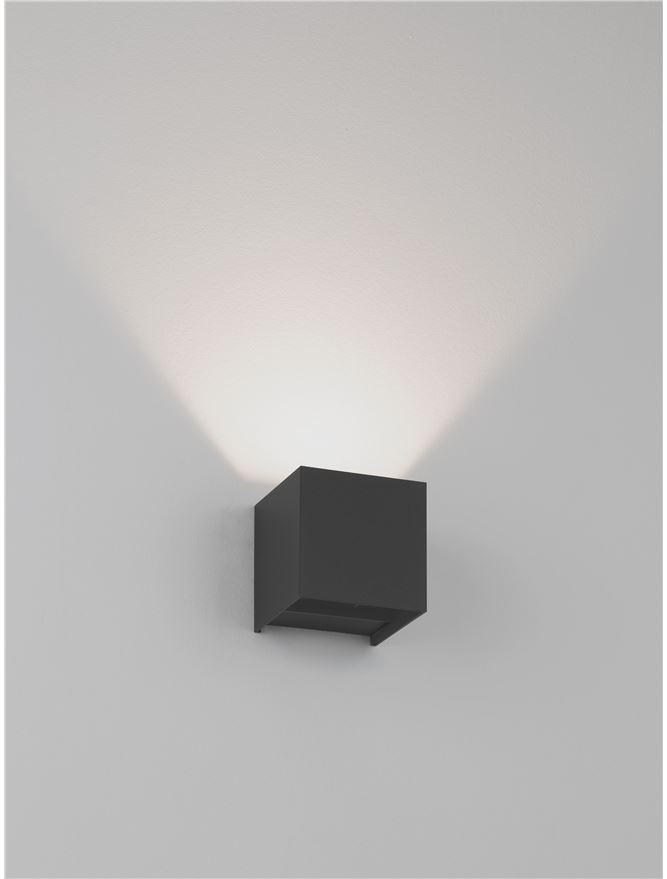 VECTOR