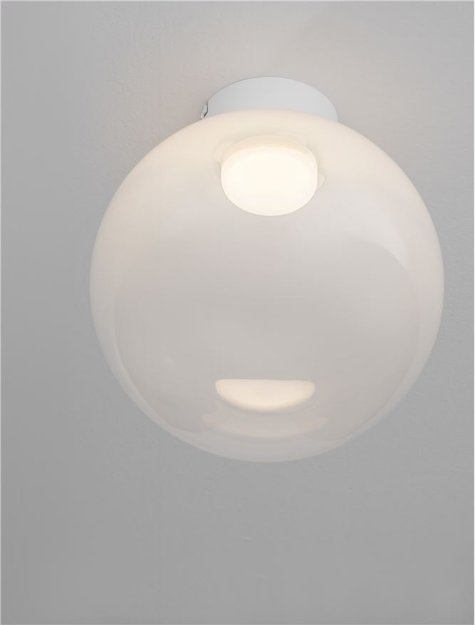 BOLITA