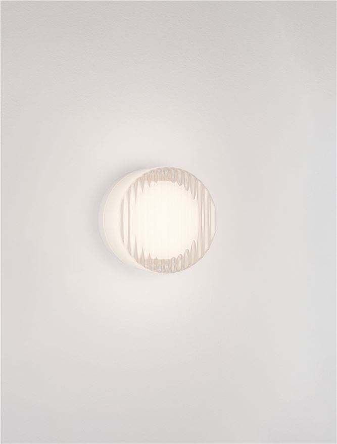 POLLUX