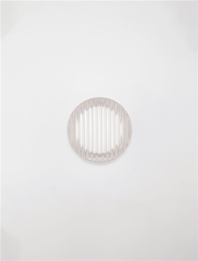 POLLUX