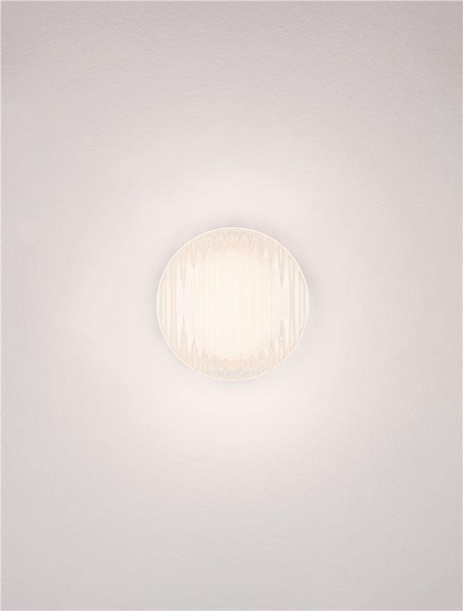 POLLUX