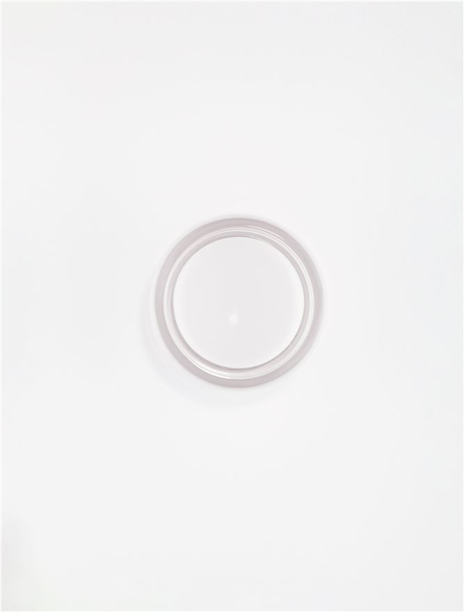 POLLUX
