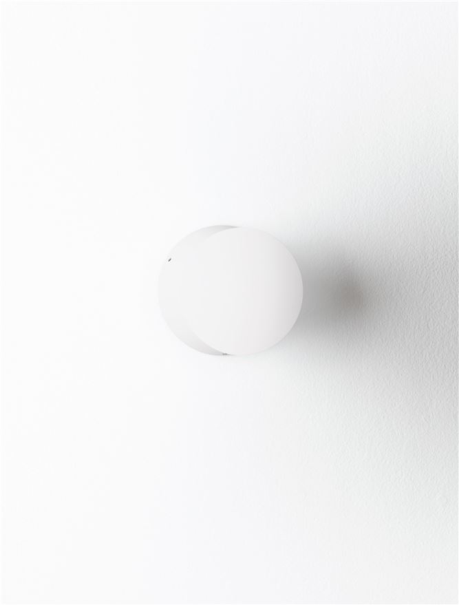 RAY