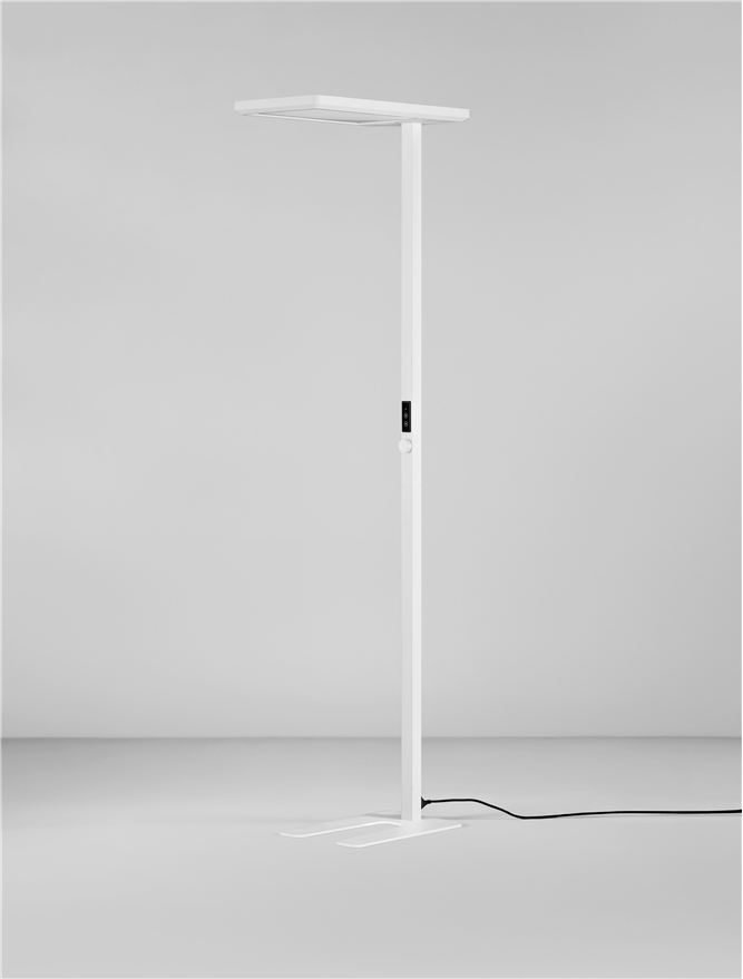 BIOLIGHT