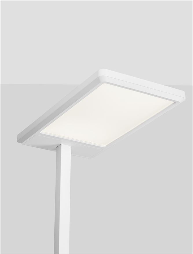 BIOLIGHT
