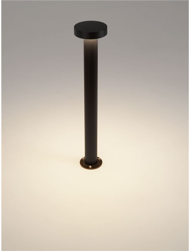 GONG