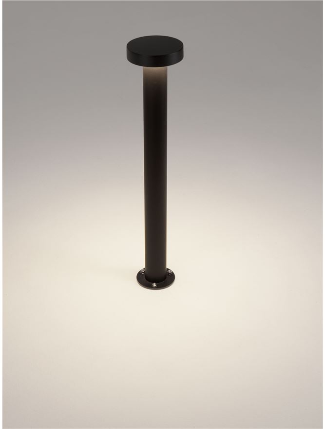GONG