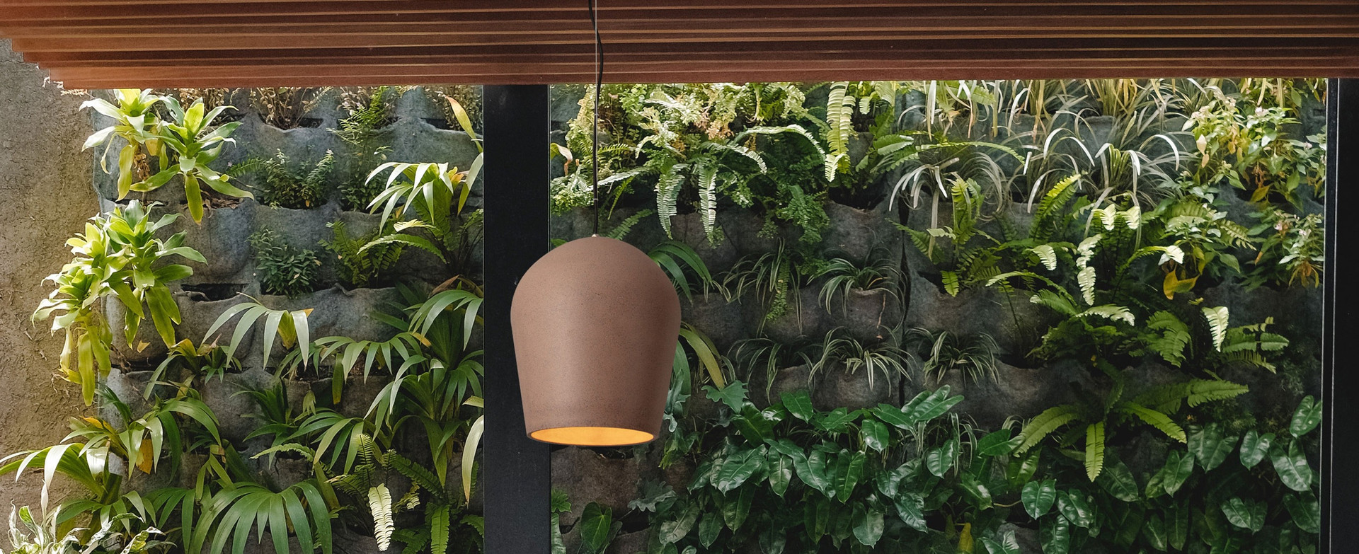 Omio, Decorative