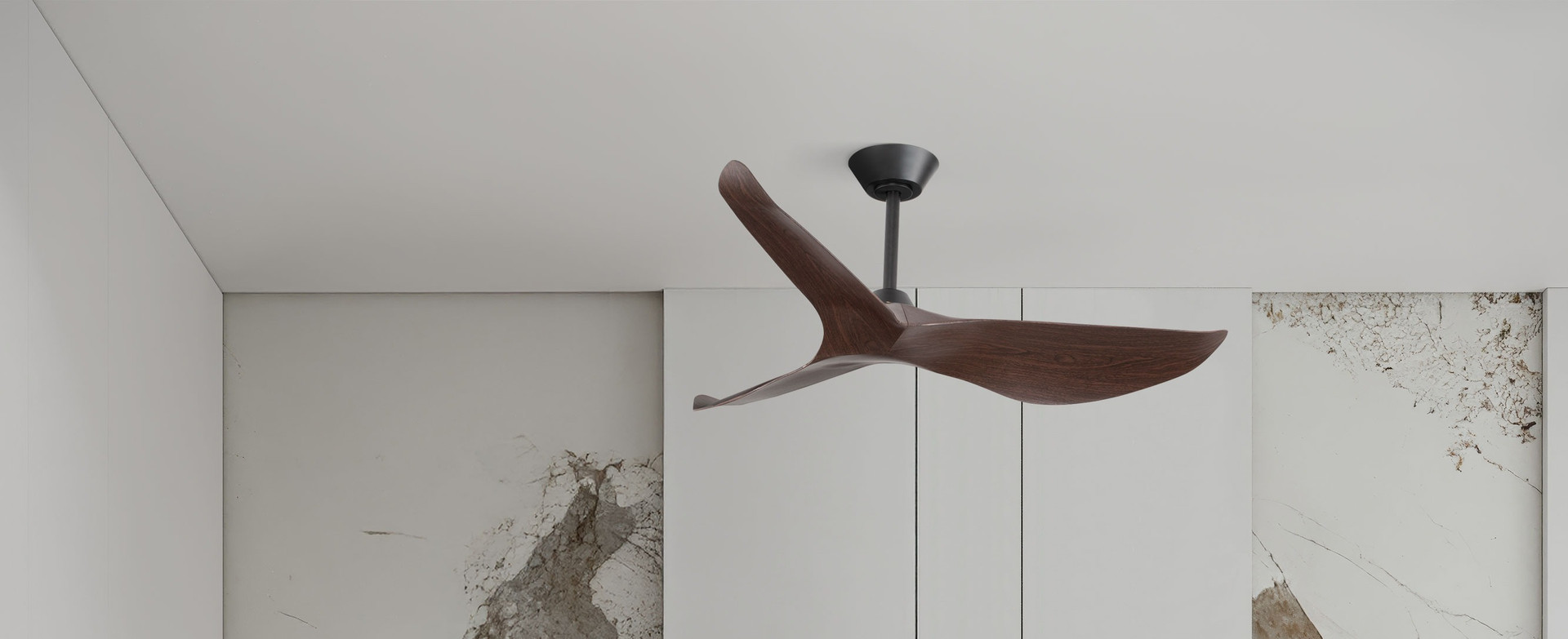 Ventra, Decorative