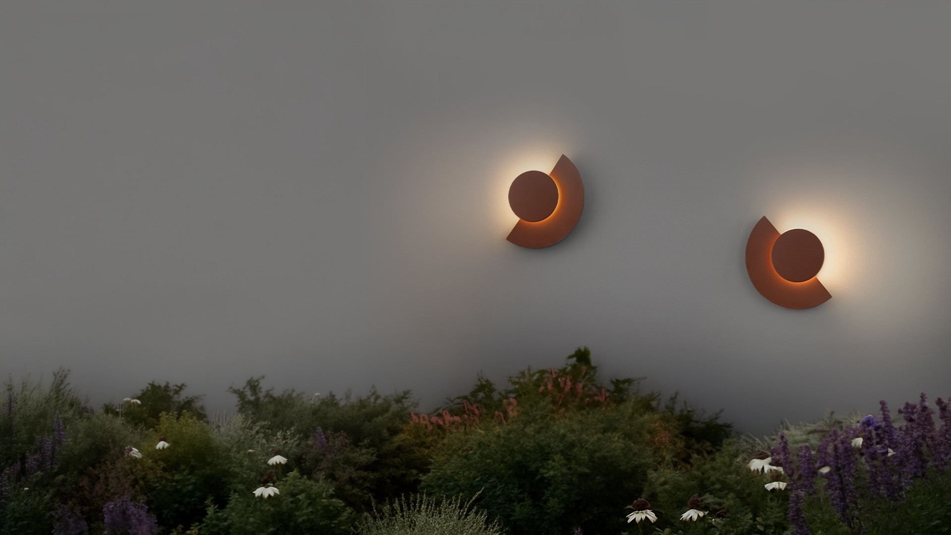 9136490.jpg