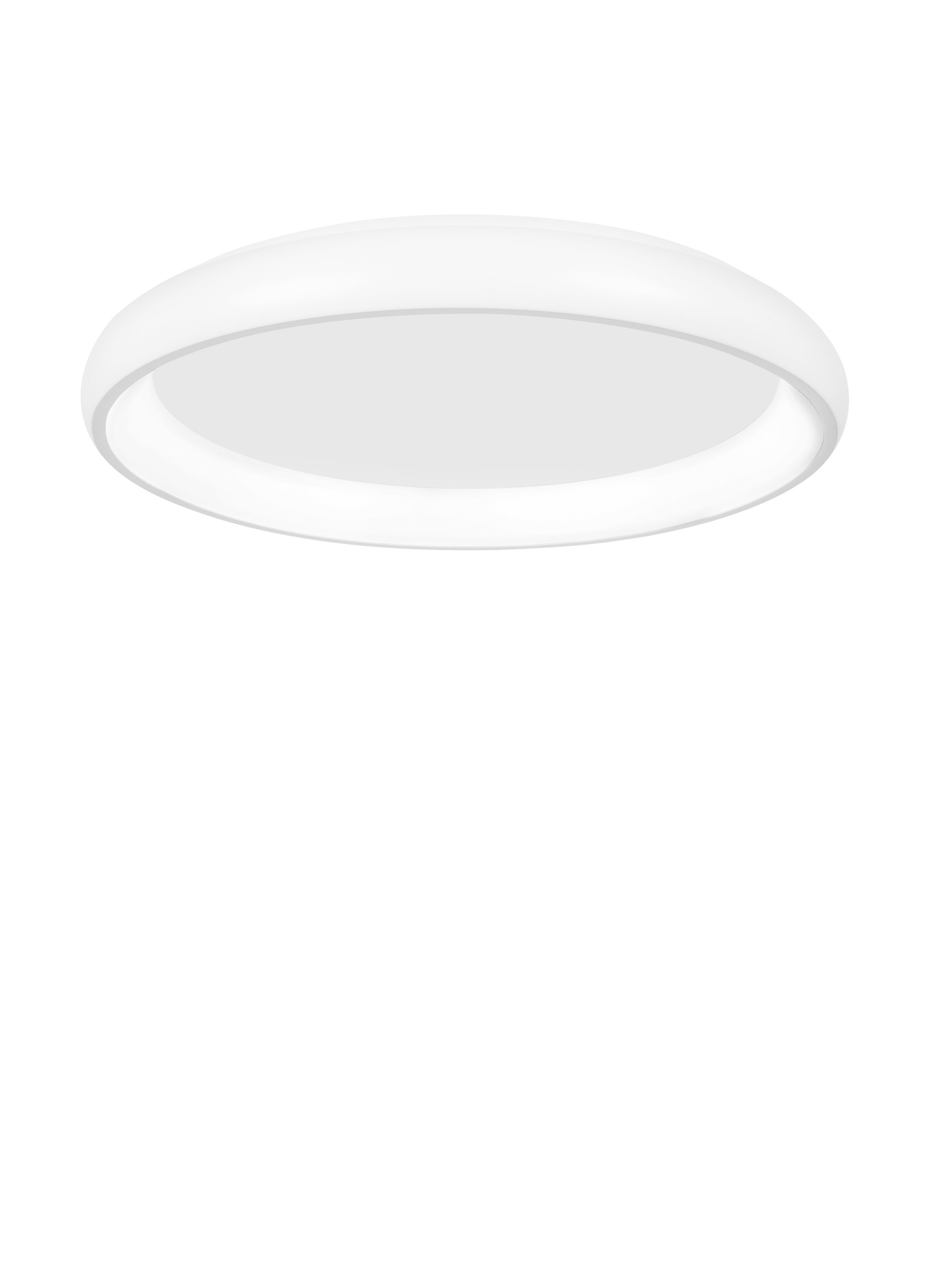 8105606 D ALBI Ceiling Decorative