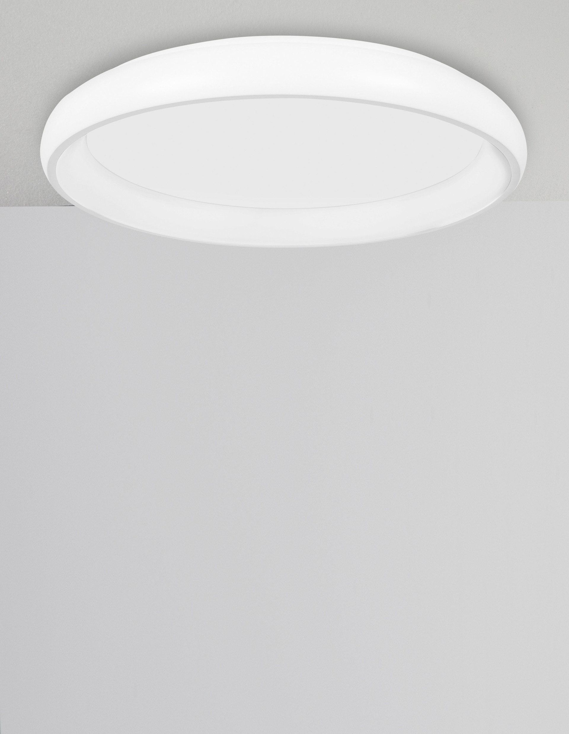 8105606 D ALBI Ceiling Decorative