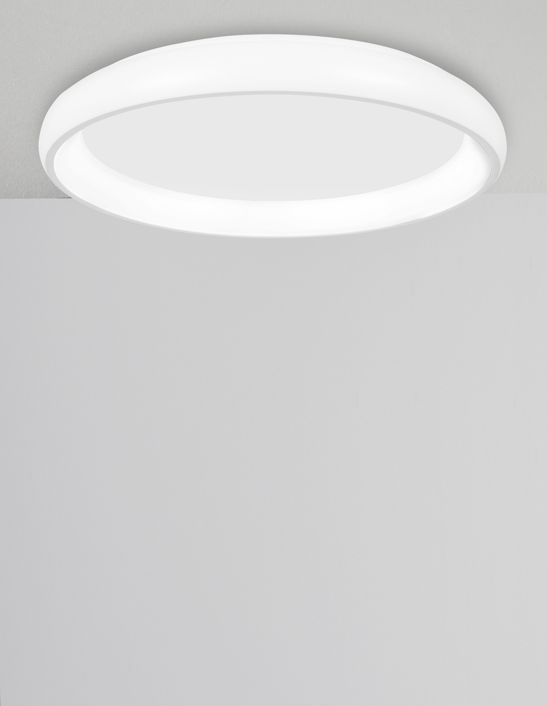 8105606 D ALBI Ceiling Decorative