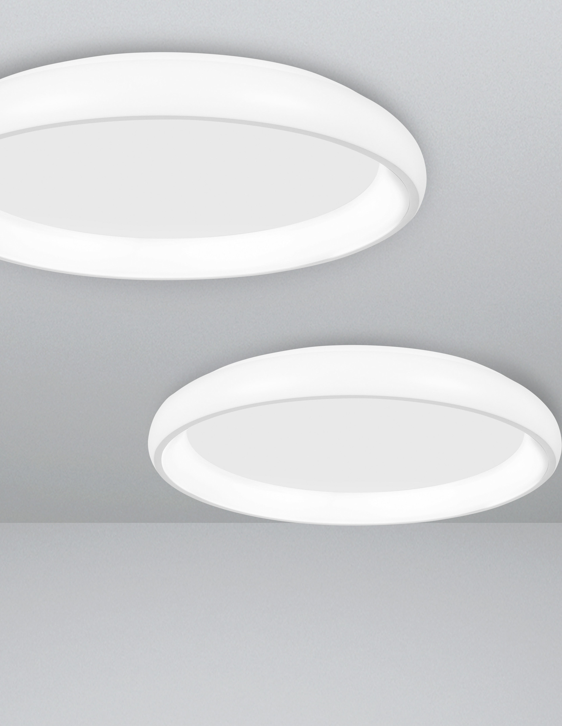 8105606 D ALBI Ceiling Decorative