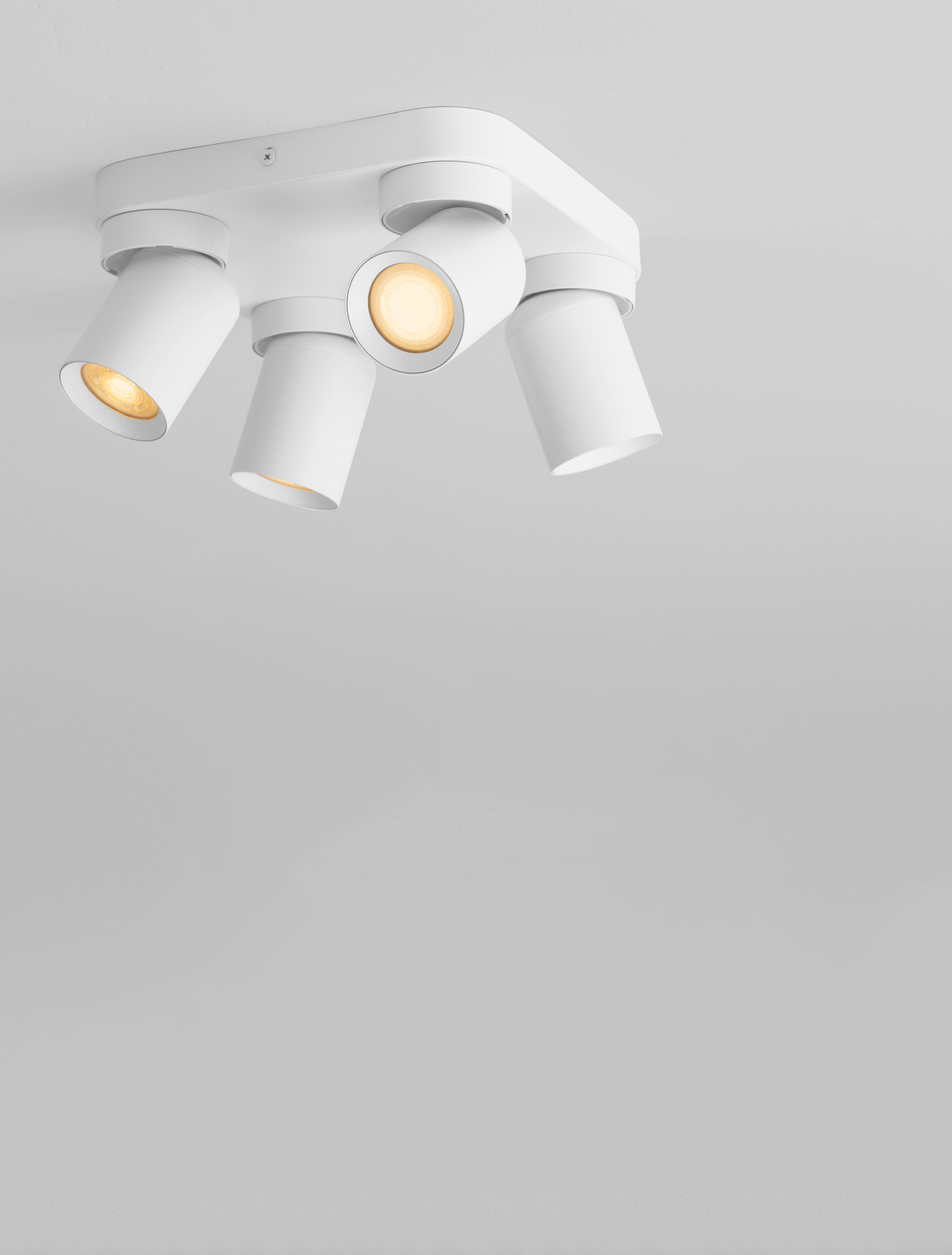AMECY thumbnail