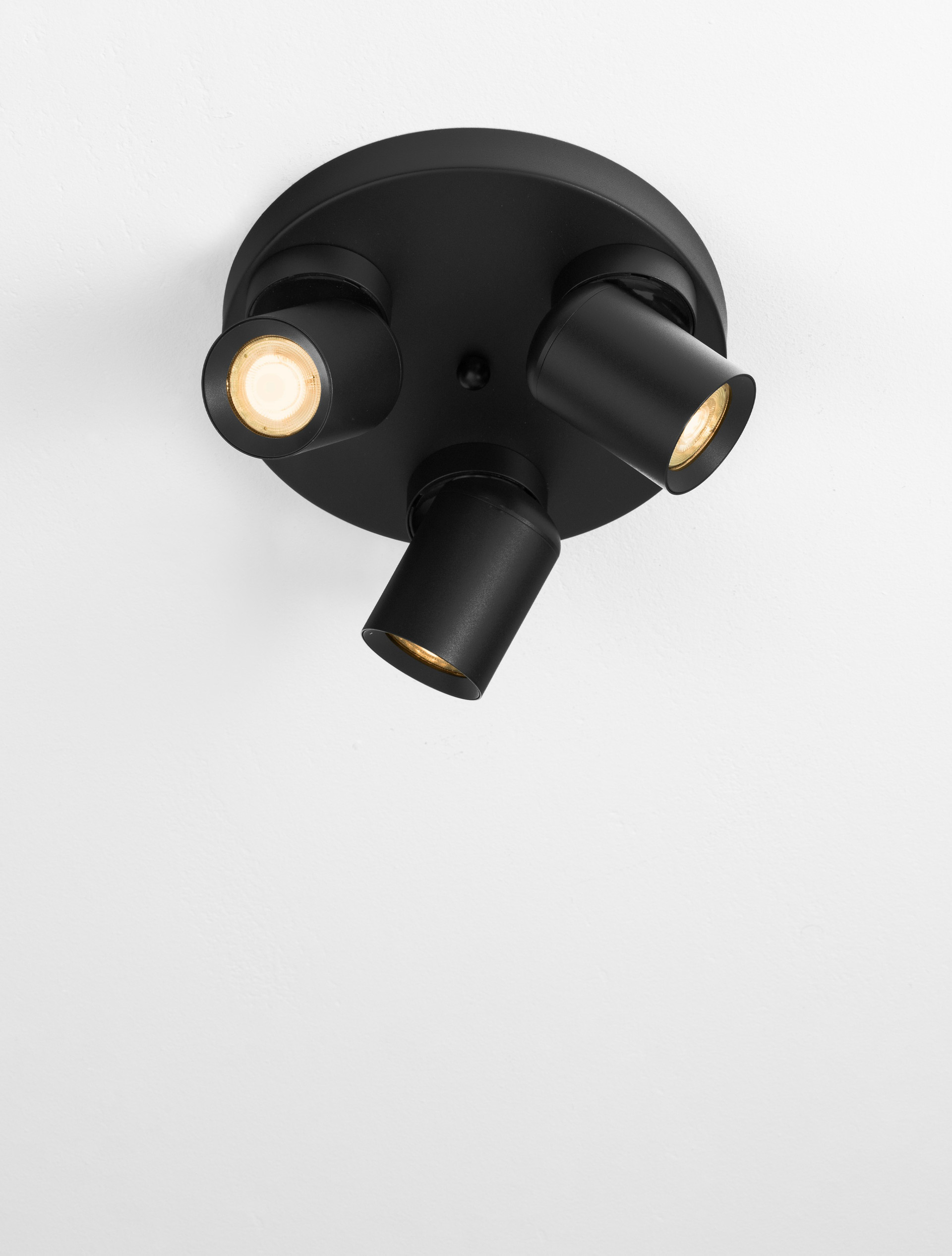 AMECY thumbnail