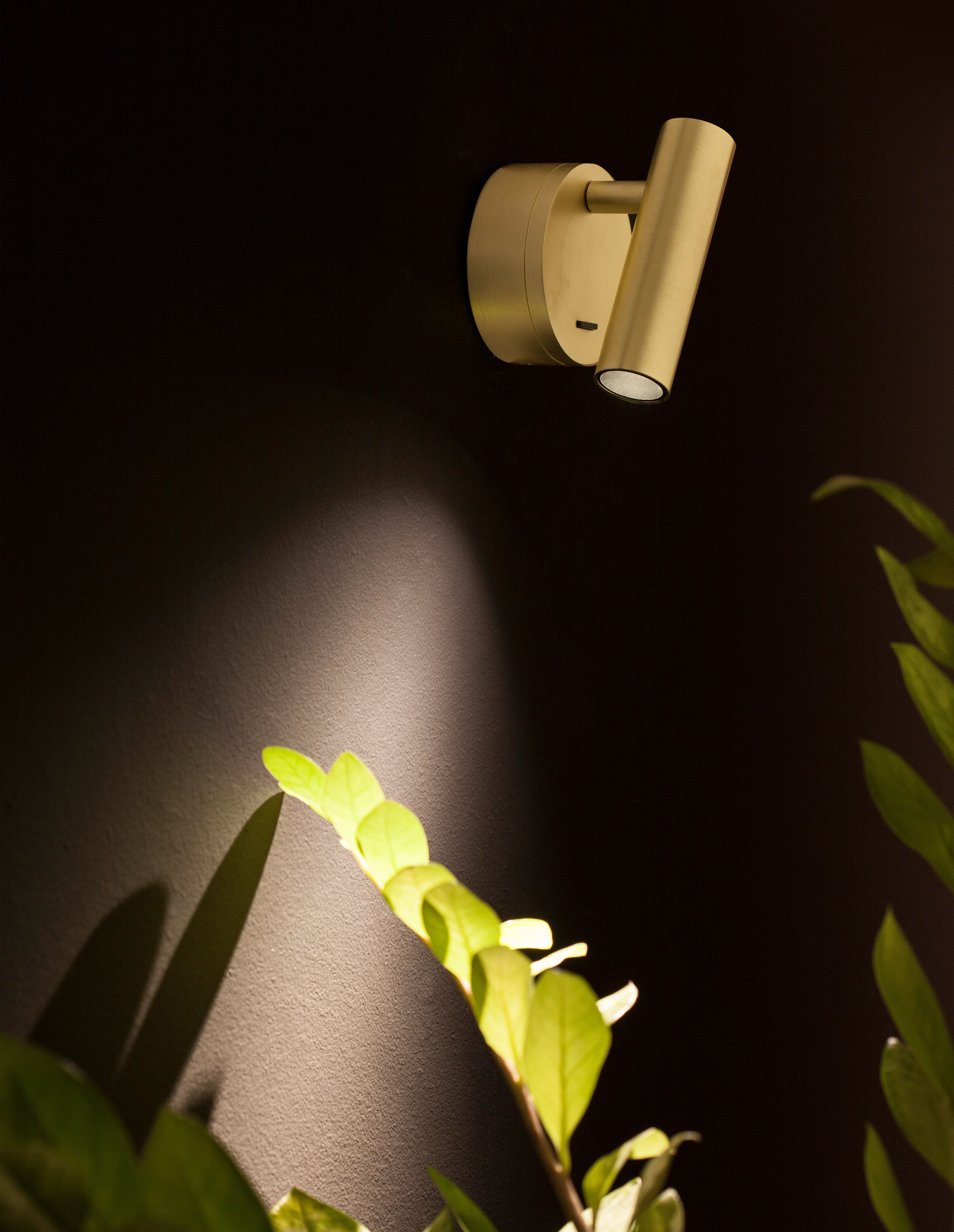 CLIP | L 8 W 3.4 H 11 cm | 3 W | 3000 K | 190 lm | IP20 | Brass | Aluminum