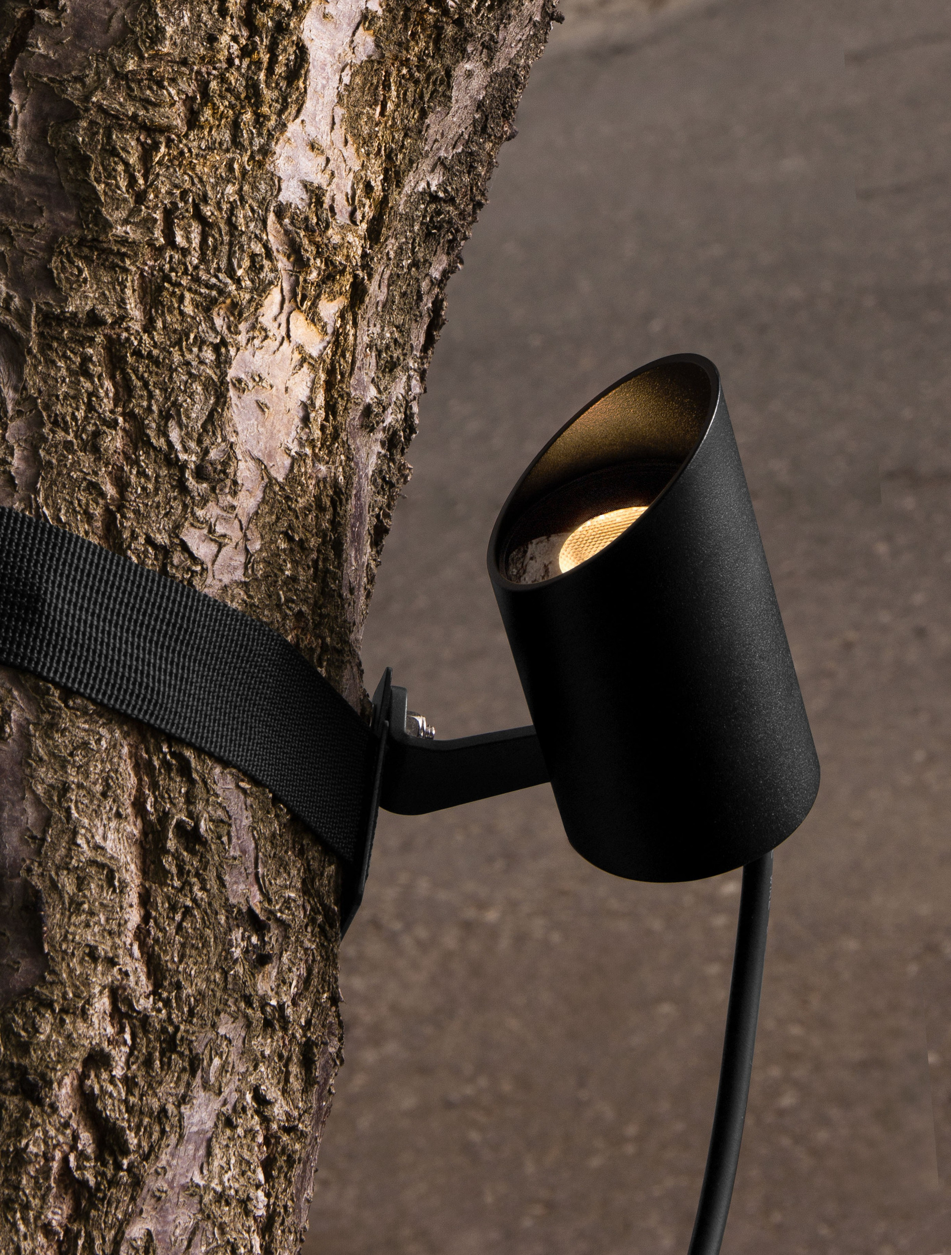Tree B30-8W | H 9 D 5 cm | 8 W | 3000 K | 464 lm | IP65 | Black | Aluminum