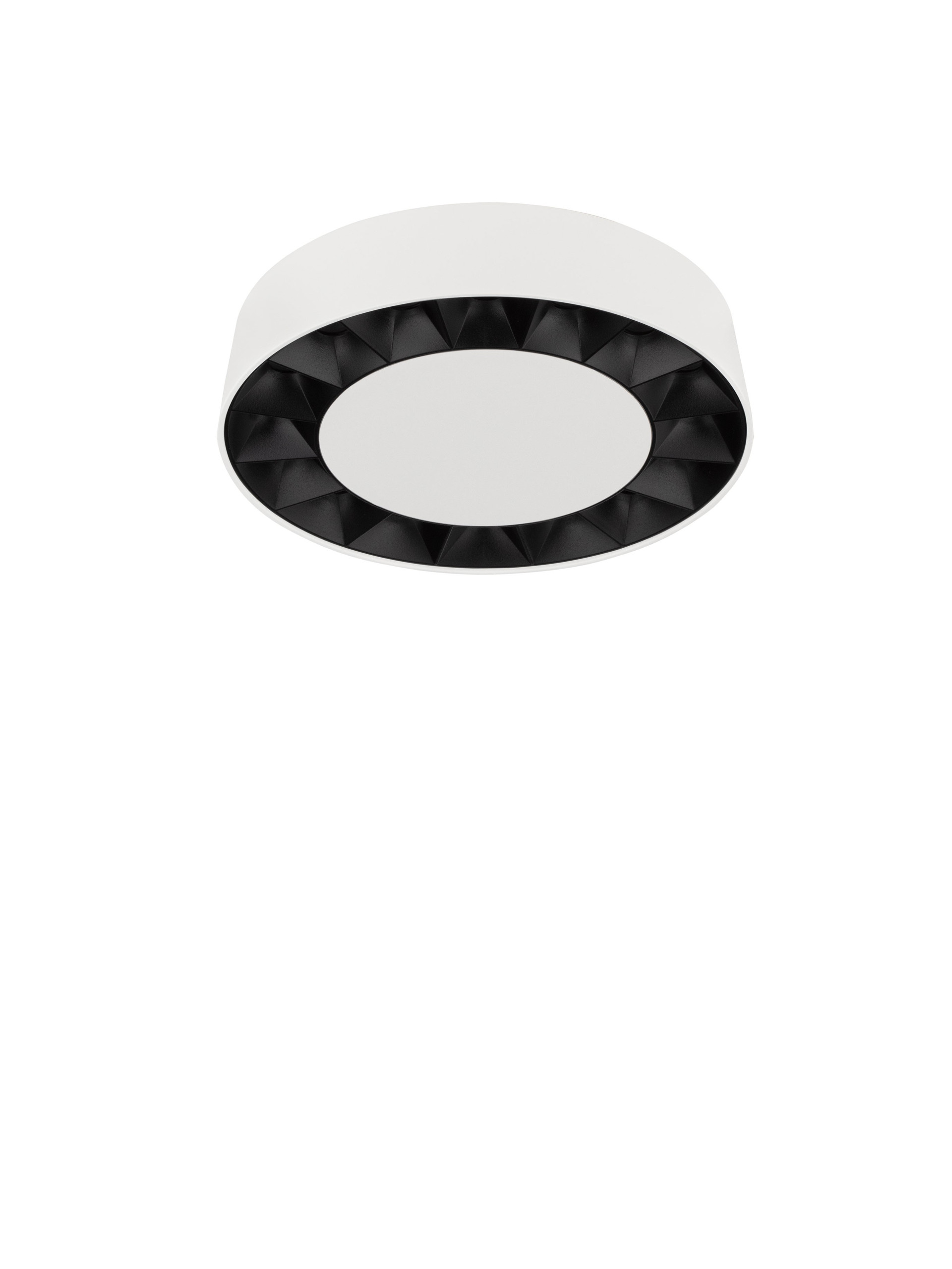 CONVEX thumbnail