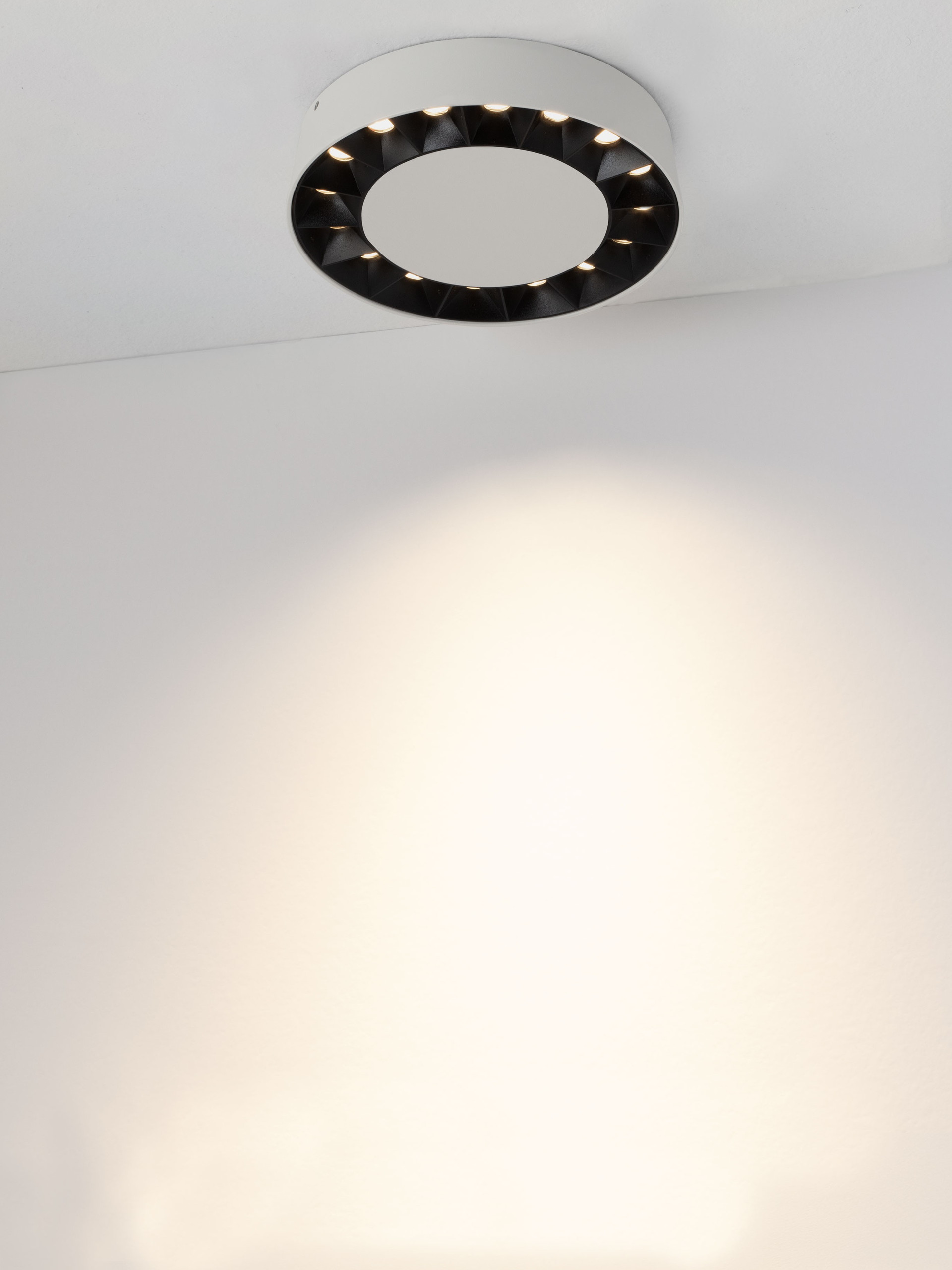 CONVEX thumbnail