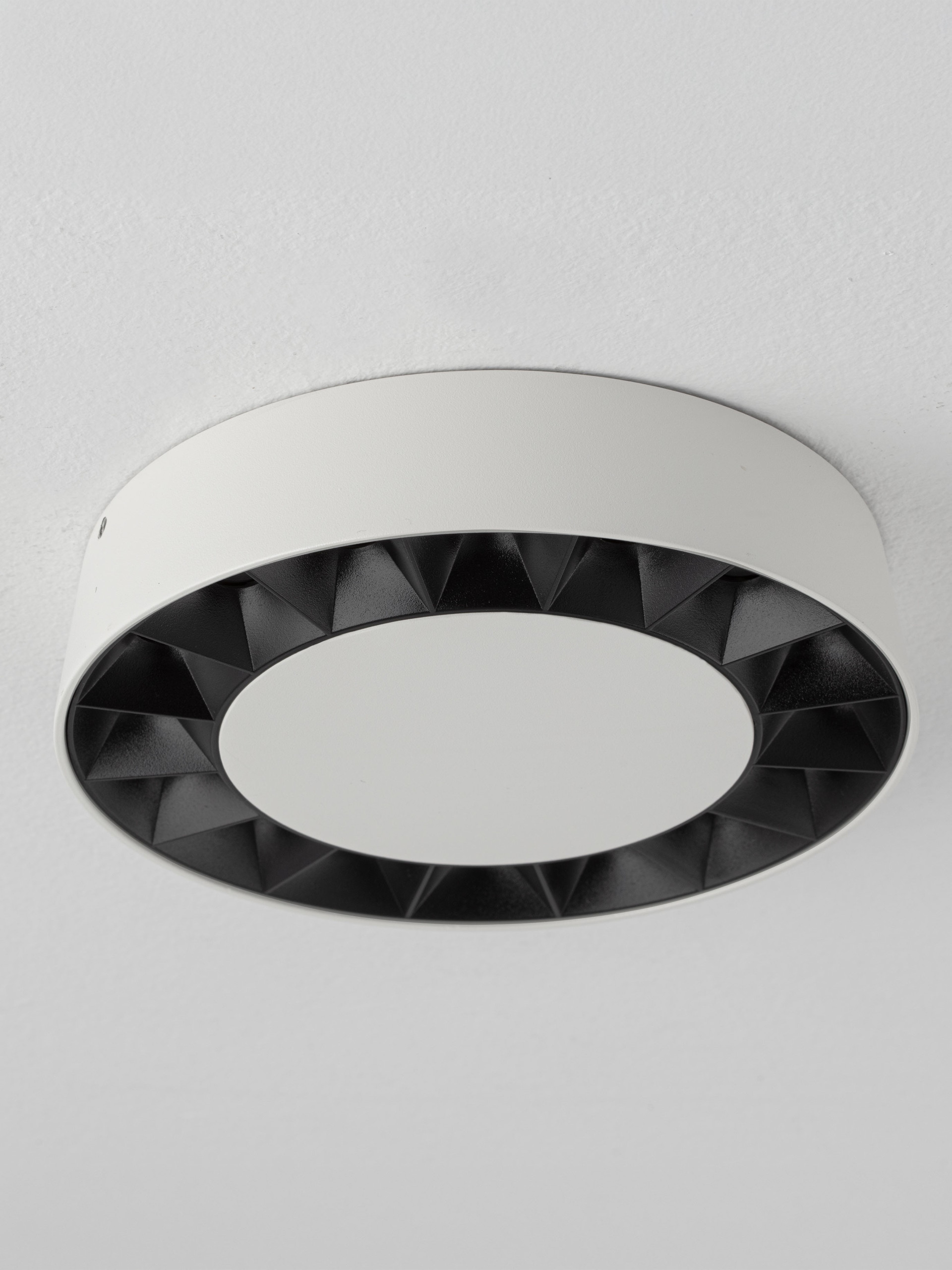 CONVEX thumbnail