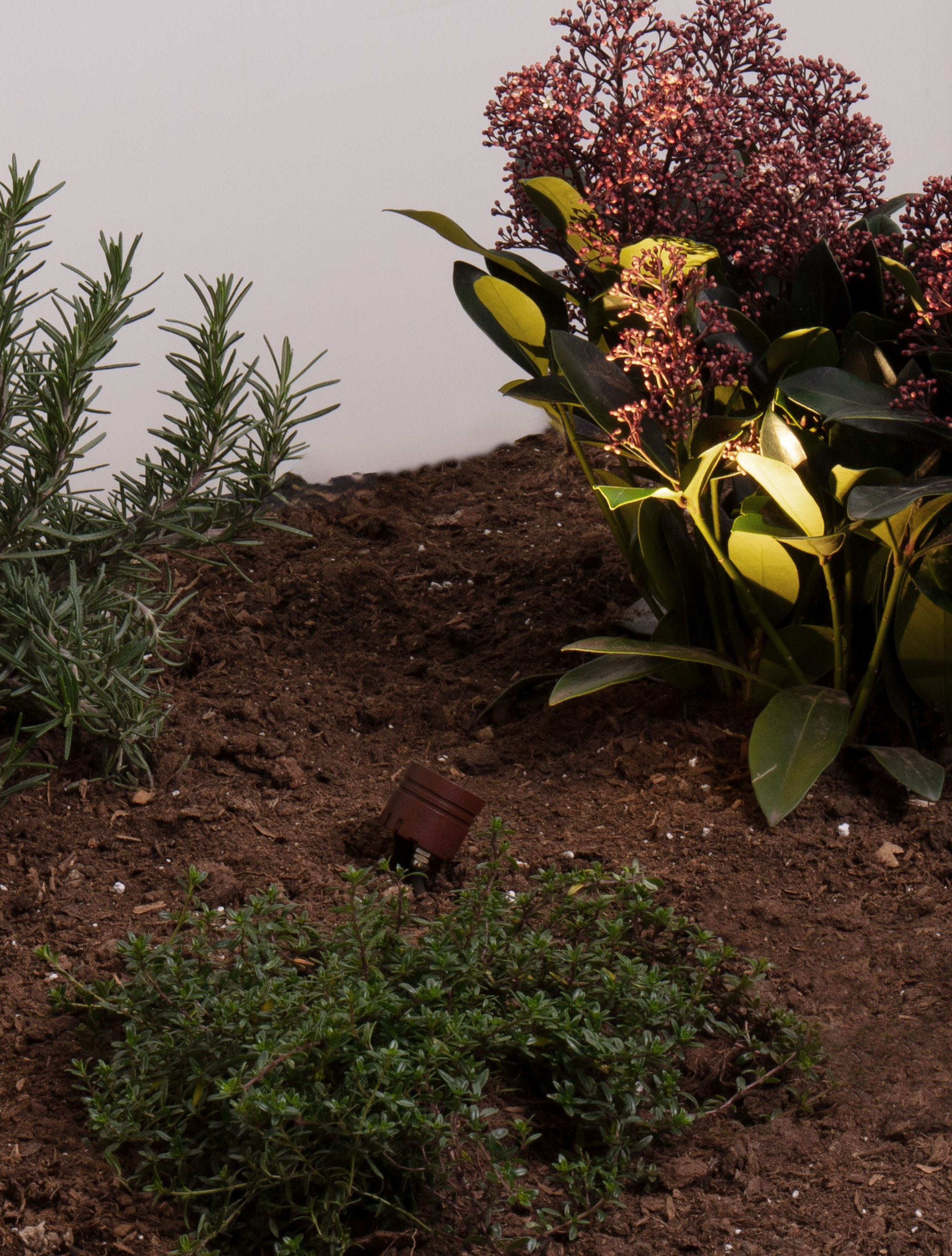 Sento 27-3W | H 5 D 3.5 cm | 3 W | 2700 K | 135 lm | IP65 | Corten | Aluminum