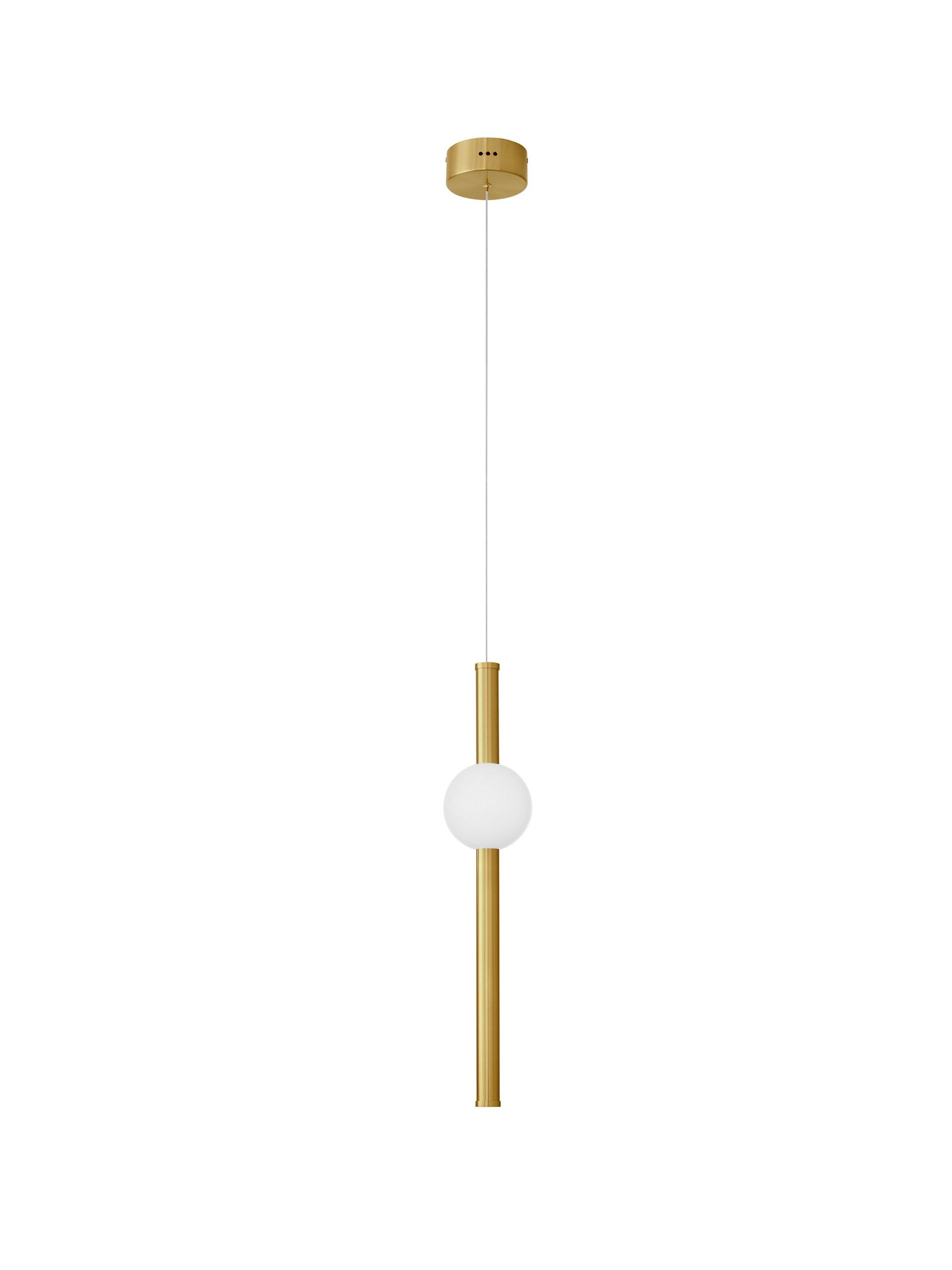 NEUTRON