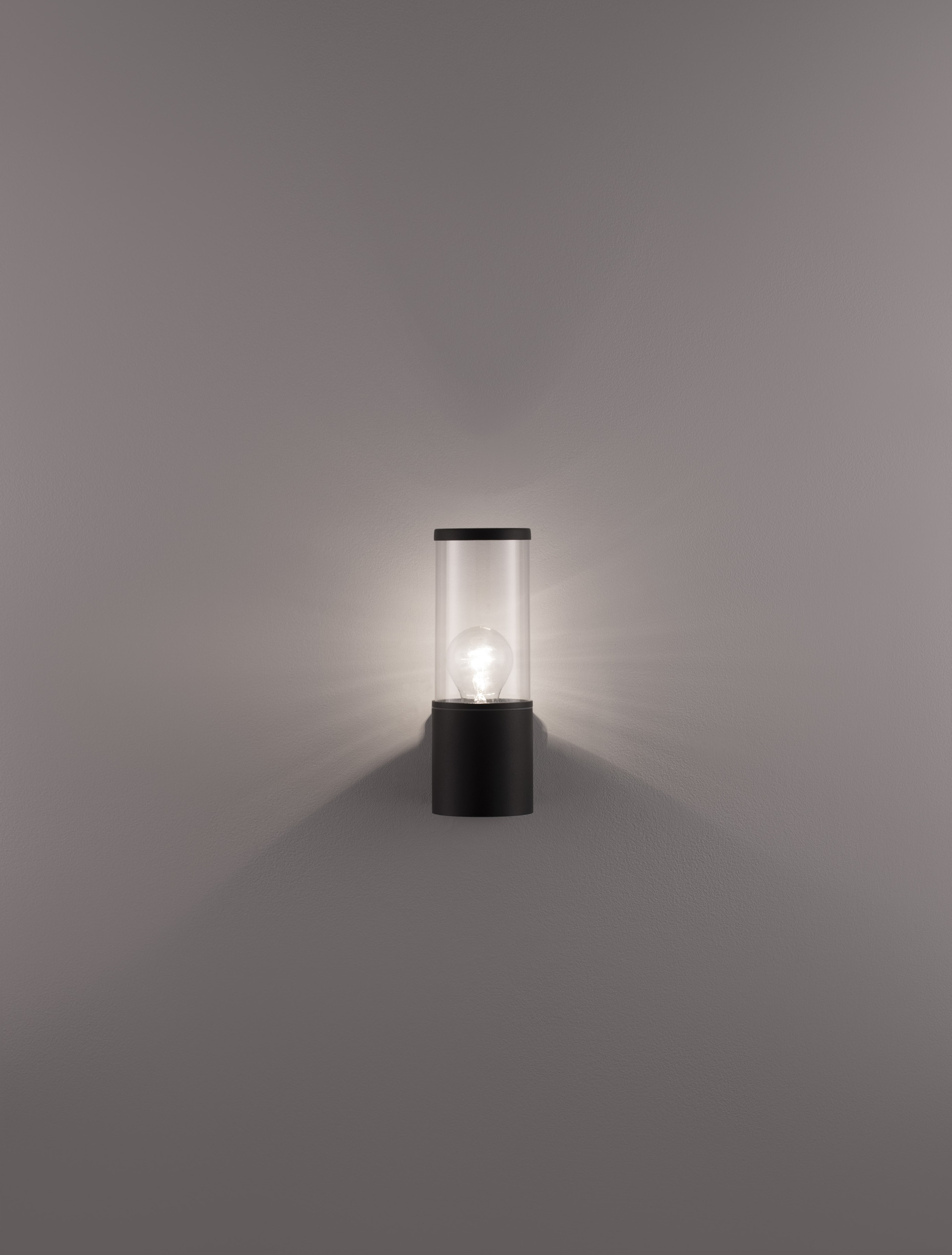 ZOSIA | W 12 H 25 D 9 cm | 12 W | IP65 | Dark Gray | Aluminum