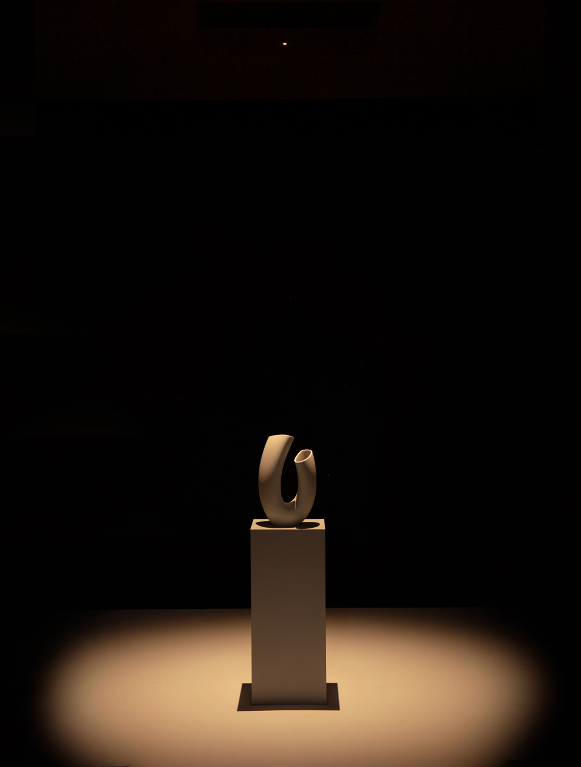 9090031