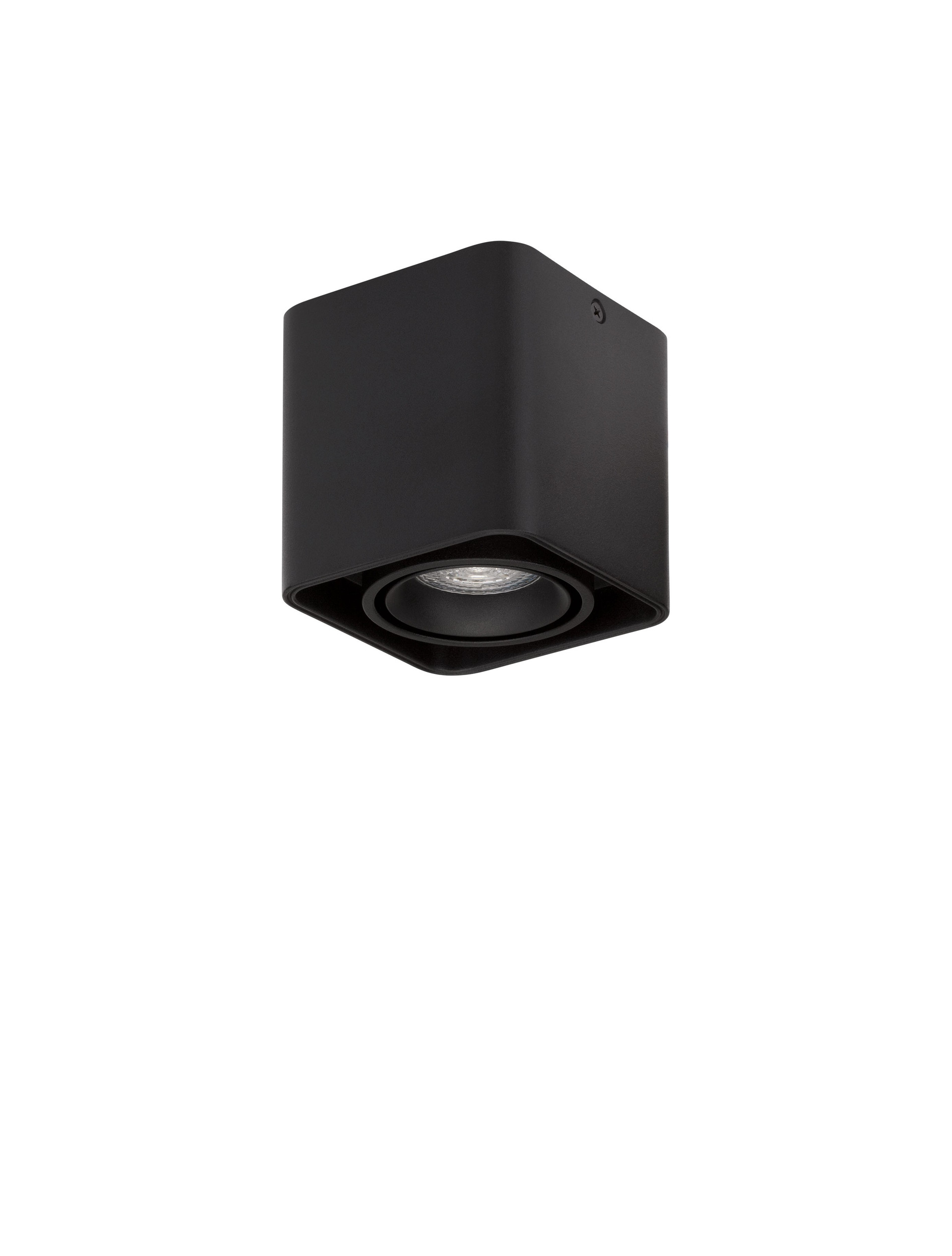 Nami B-11W-SM-D11-Sq-H10-505 thumbnail