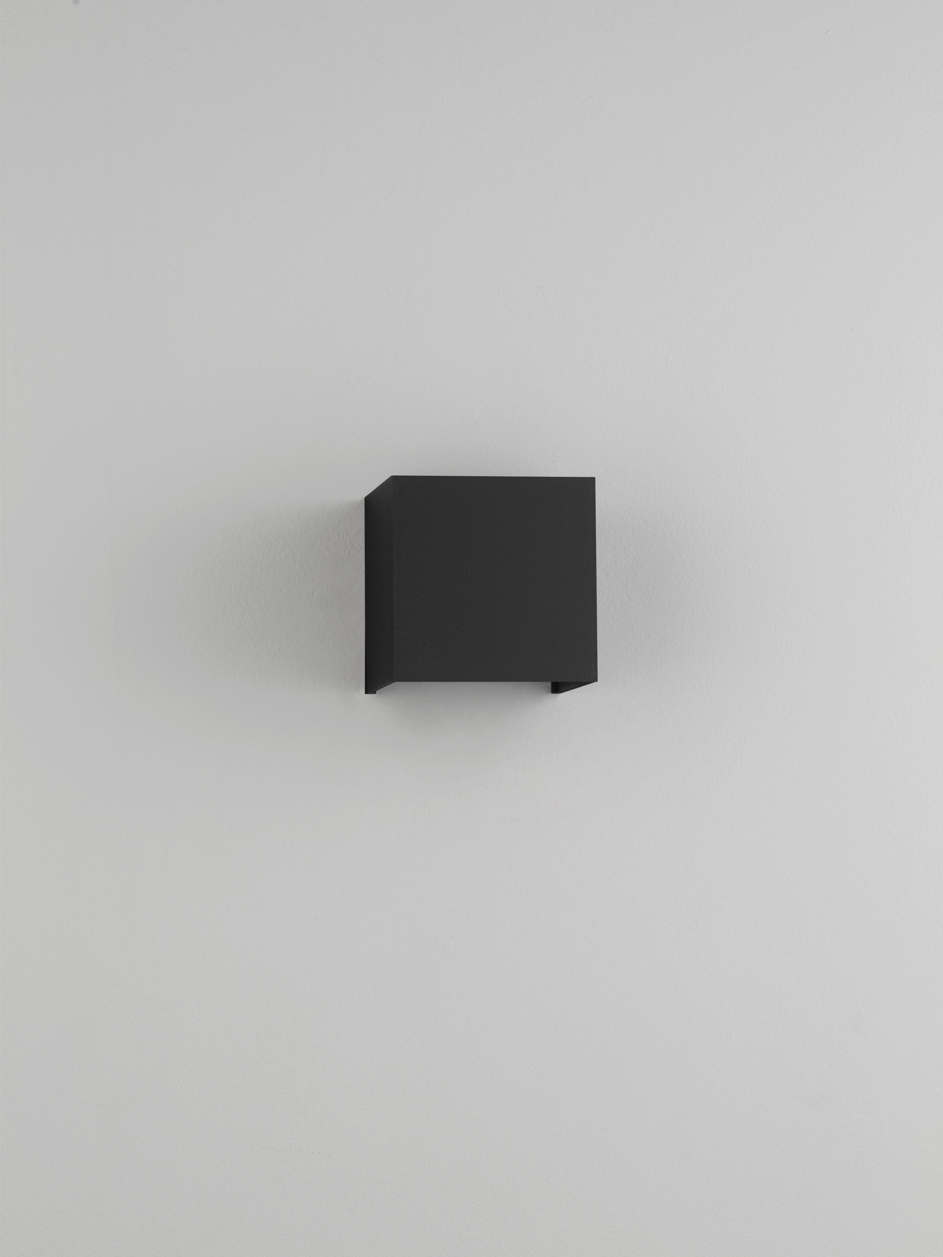VECTOR thumbnail