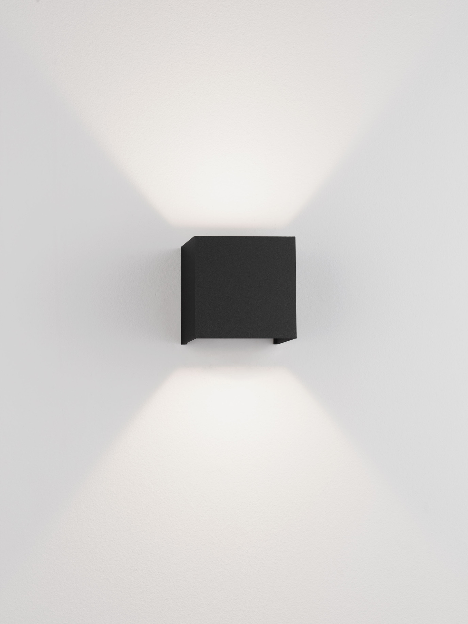 VECTOR thumbnail