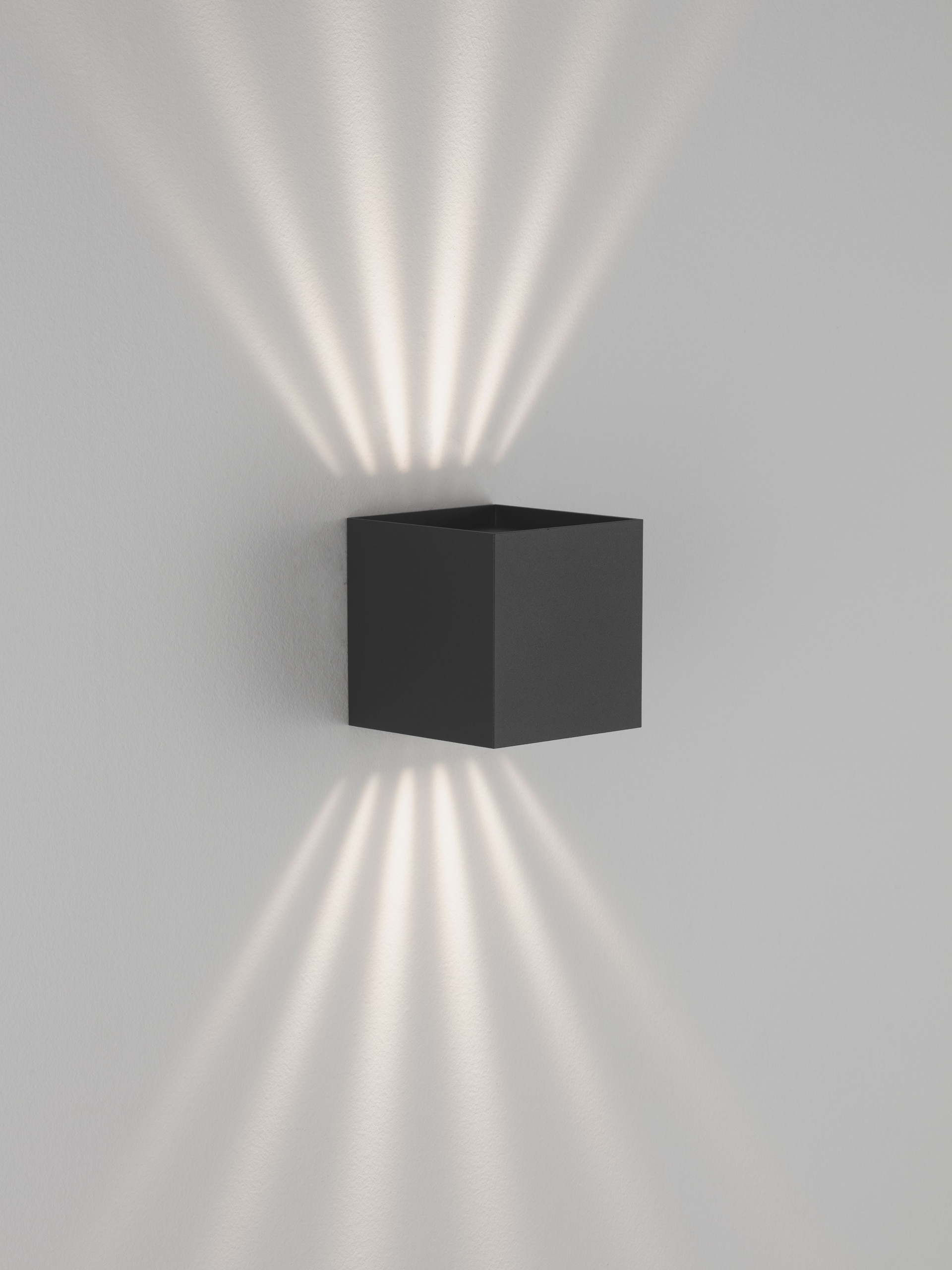VECTOR
