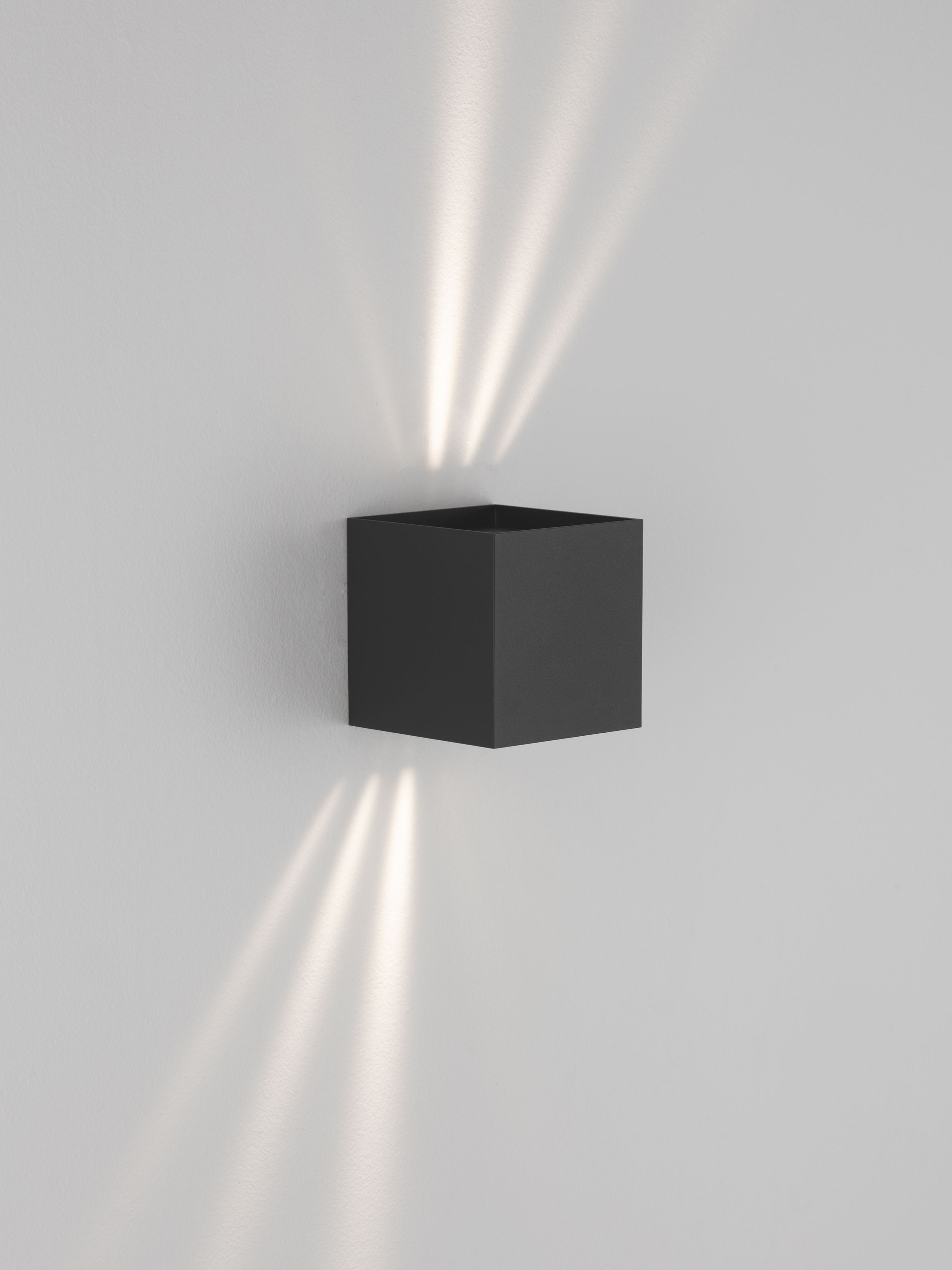 VECTOR thumbnail