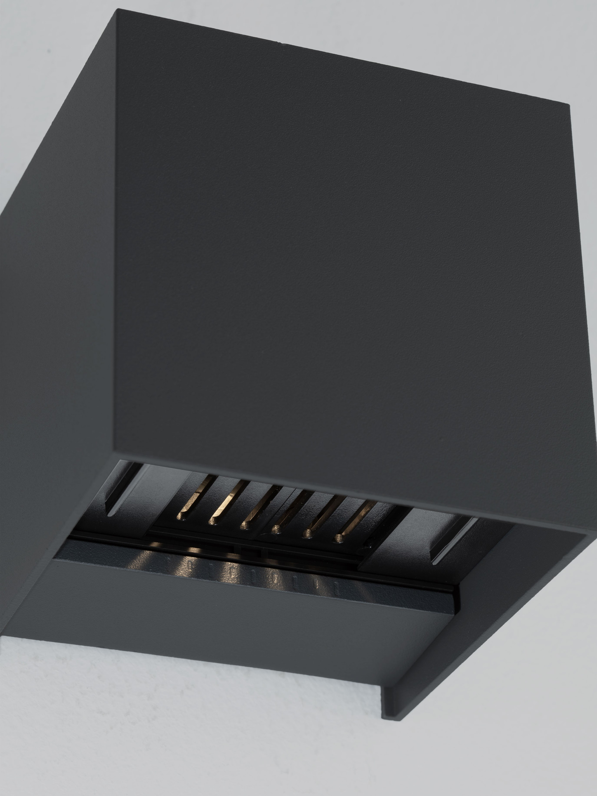 VECTOR thumbnail